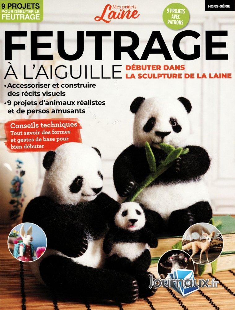 Mes projets Laine n° 1 2025-12-11