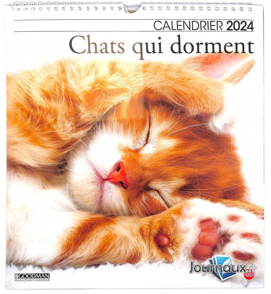  Calendrier 2024 Chats qui dorment