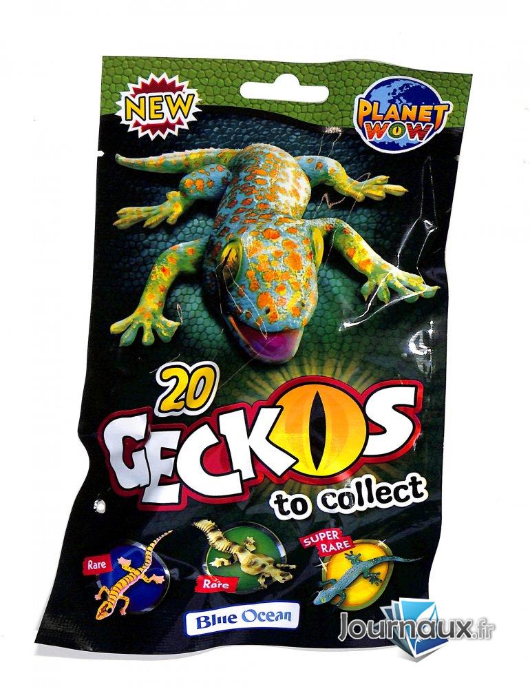Geckos  n° 1 2023-09-14