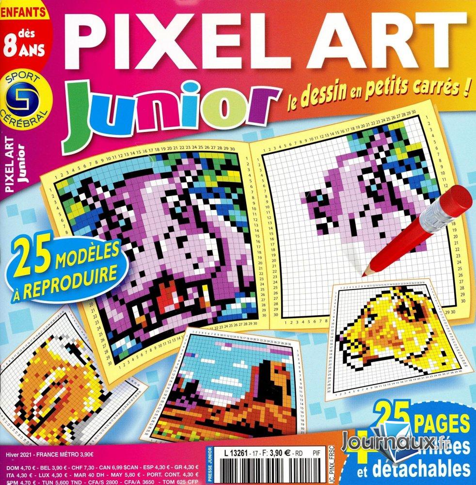 SC Pixel Art Junior Dès 8 ans