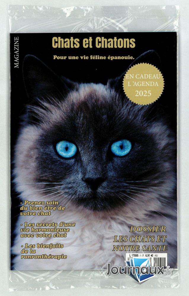 Chats et Chatons n° 1 2025-02-18