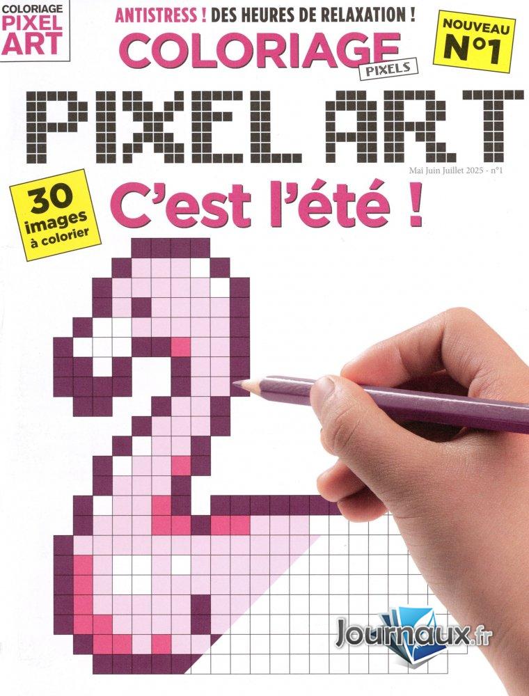 Coloriage Pixels  n° 1 2025-04-18