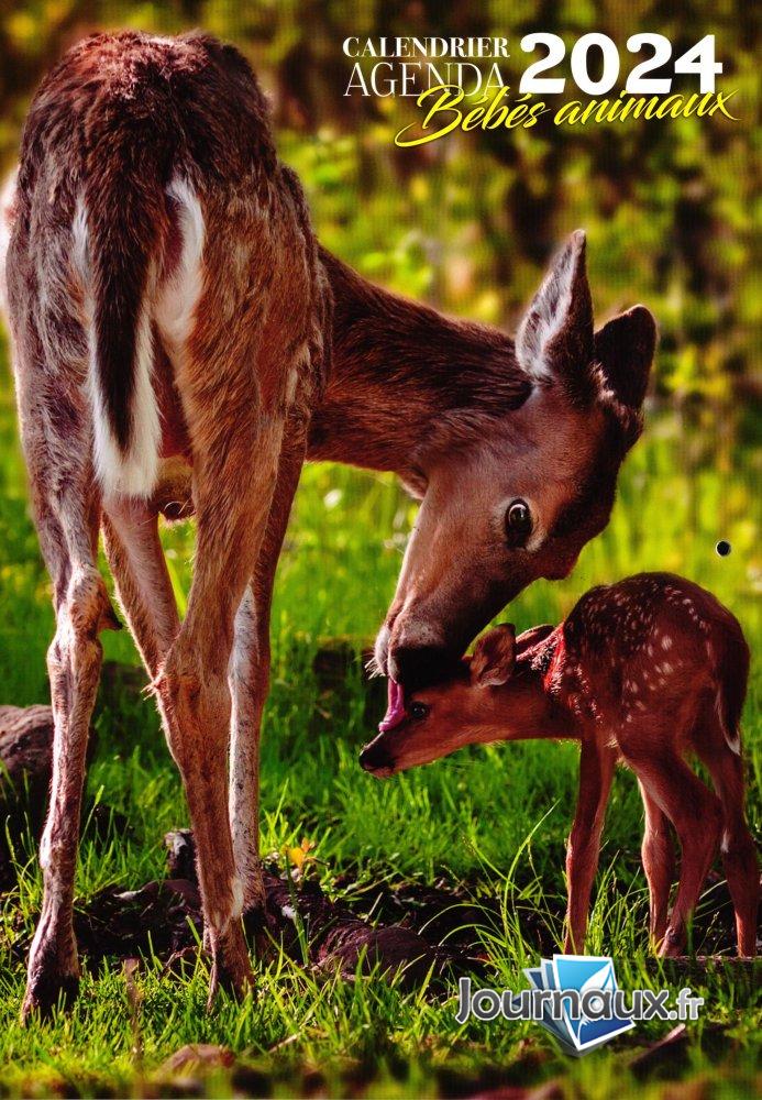 Calendrier Bébés Animaux n° 1 2023-10-24