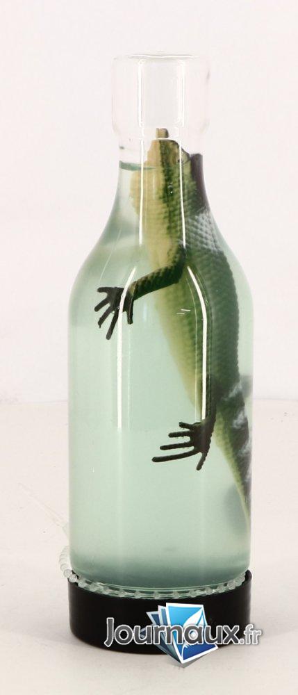 LEZARD SLIME n° 1 2025-03-07