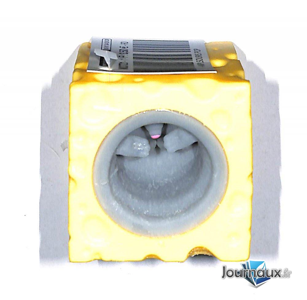 Souris pop  n° 1 2025-09-19