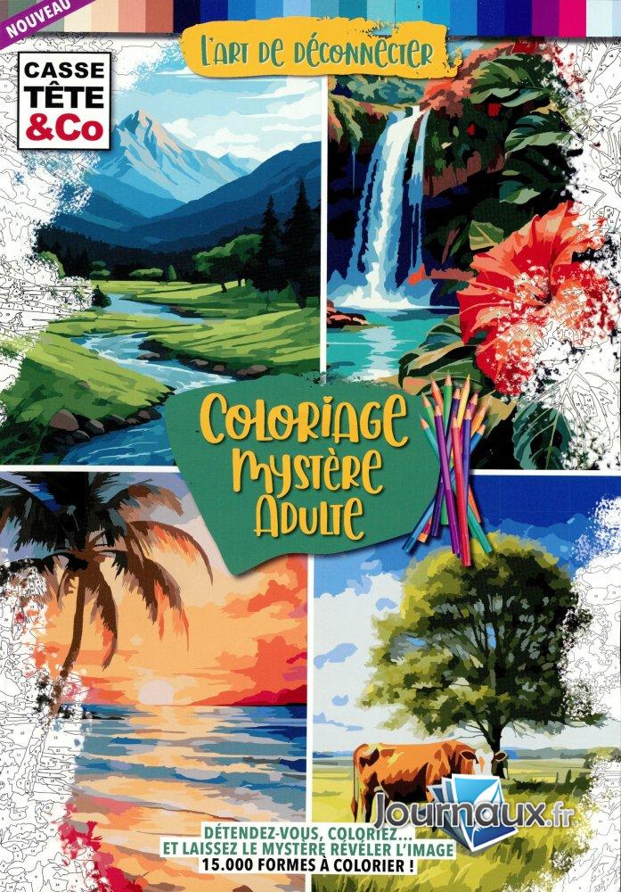 Casse-Tête & Co n° 1 2026-02-06