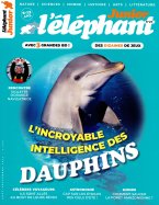 L'Eléphant Junior n° 29 2025-08-08