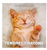 Calendrier 2025 Tendres Chatons 