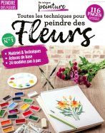 Mes techniques Peinture 