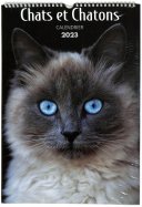 Calendrier 2023 Chats et chatons