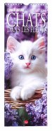 Calendrier 2026 chats dans les fleurs  n° 1 2025-10-09