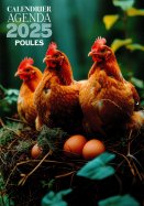 Calendrier Agenda 2025 Poules