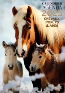 Calendrier Agenda 2025 - Chevaux, Poneys & Ânes