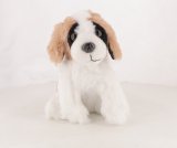 Le saint-bernard  n° 11 2025-05-22