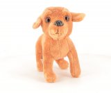 Le Pinscher Nain n° 12 2025-06-05