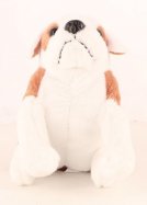 Le bouledogue anglais  n° 13 2025-06-19