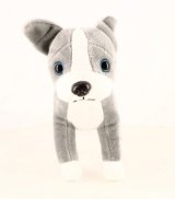 L'american staffordshire terrier n° 15 2025-07-15