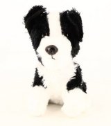 Le Border Collie  n° 2 2025-01-09