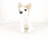 Le lévrier barzoï n° 24 2025-11-20