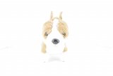 Le welsh corgi pembroke n° 27 2026-01-02