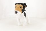 Le wire fox-terrier n° 31 2026-02-26