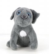 Le cane corso n° 34 2026-04-09