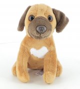 Le Rhodesian Ridgeback n° 36 2026-05-07