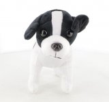 Le pointer Anglais n° 38 2026-06-04