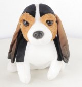 Le Basset Hound n° 39 2026-06-18