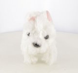 Le west highland white terrier n° 48 2026-10-22