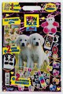 Fun Kids Maxi N°1  n° 1 2025-06-27