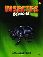 Le scarabée bousier de Népal