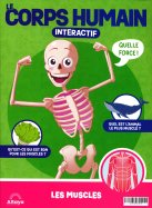 Construisez le corps humain interactif n° 12 2026-04-21