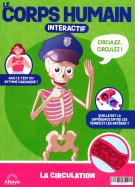 Construisez le corps humain interactif n° 18 2026-06-02