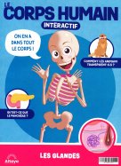 Construisez le corps humain interactif n° 25 2026-07-21