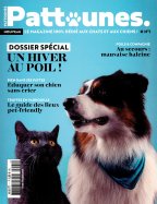 Pattounes n° 1 2026-02-05