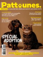 Pattounes n° 4 2026-08-13
