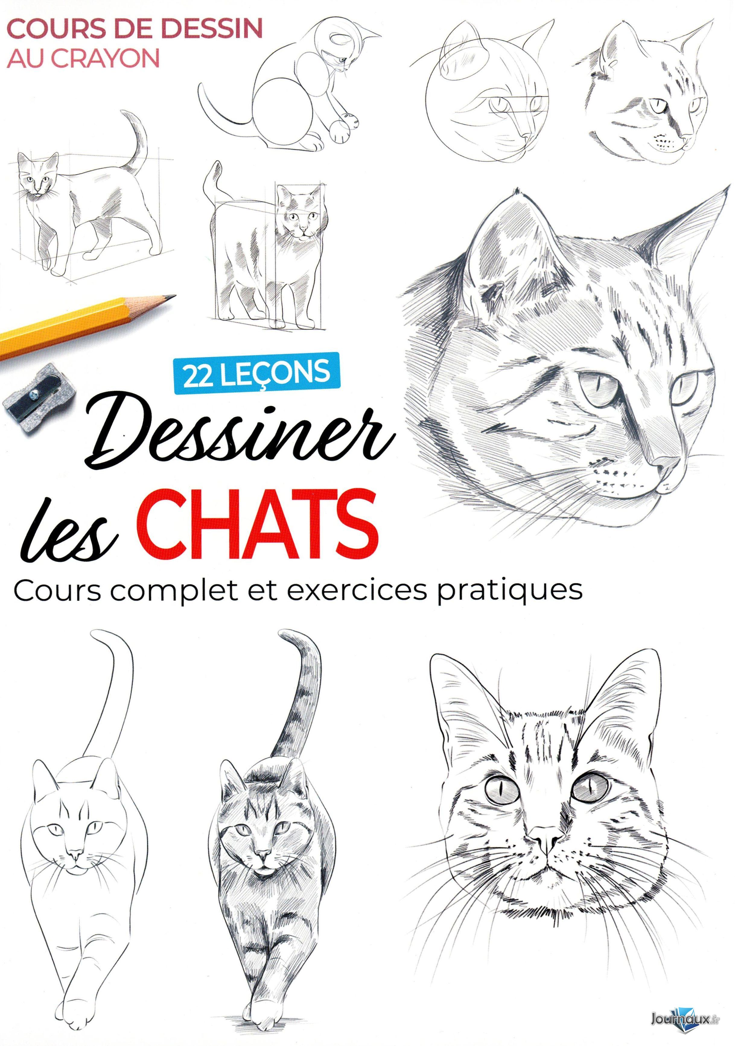 Cours de dessin au crayon  n° 19 2025-08-01