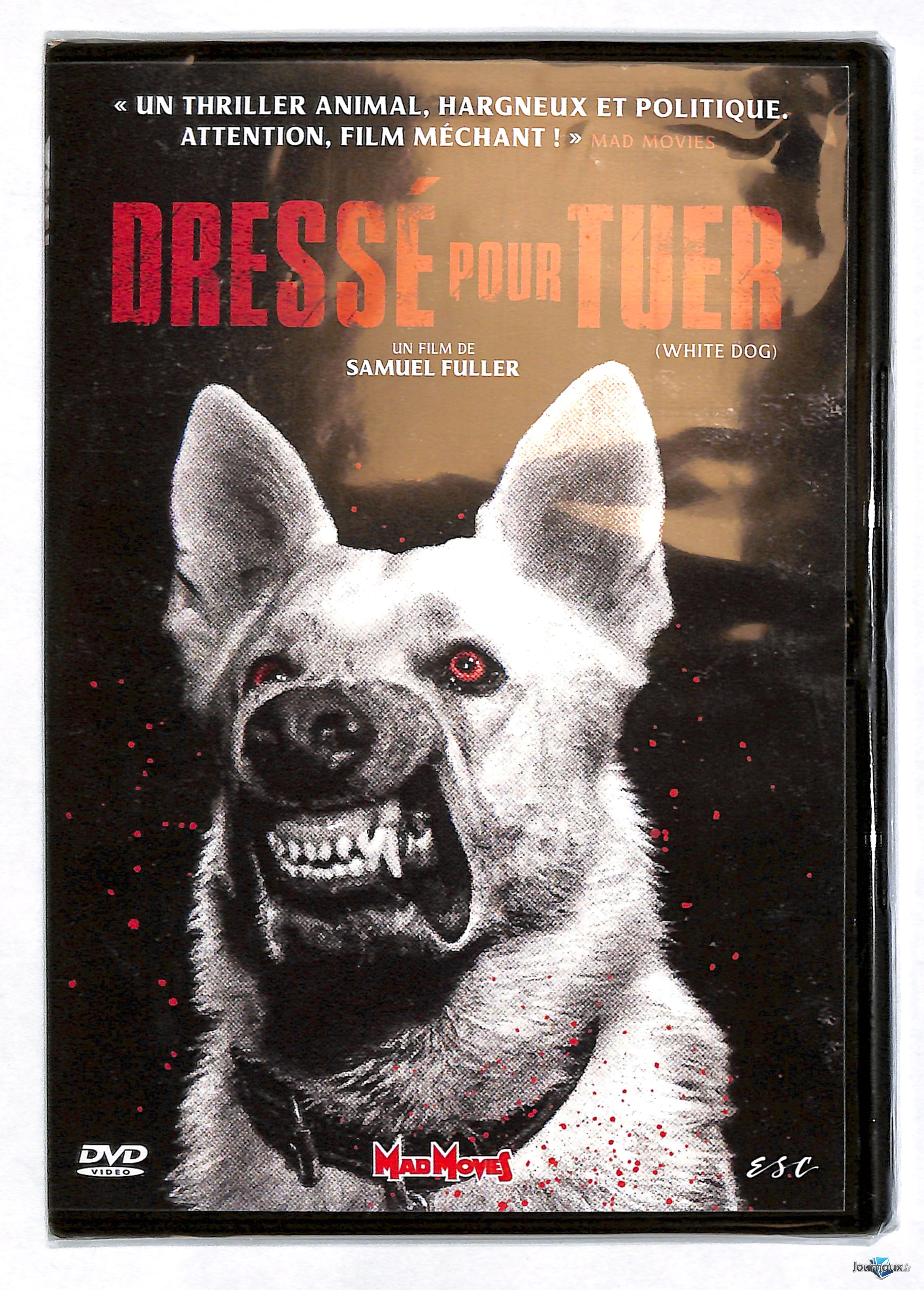 Mad Movies + DVD  n° 385 2024-09-12
