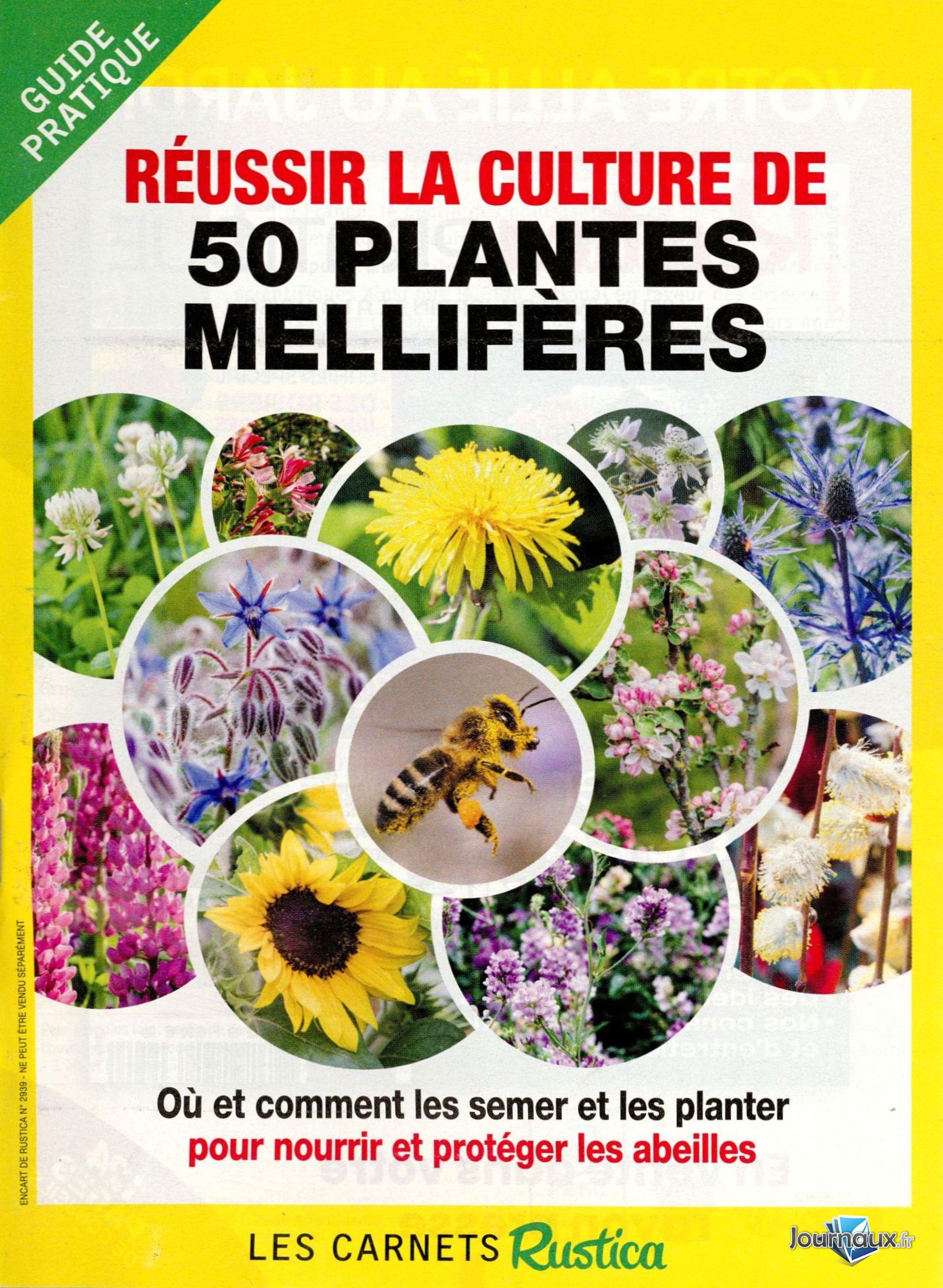 Rustica n° 2939 2026-04-24