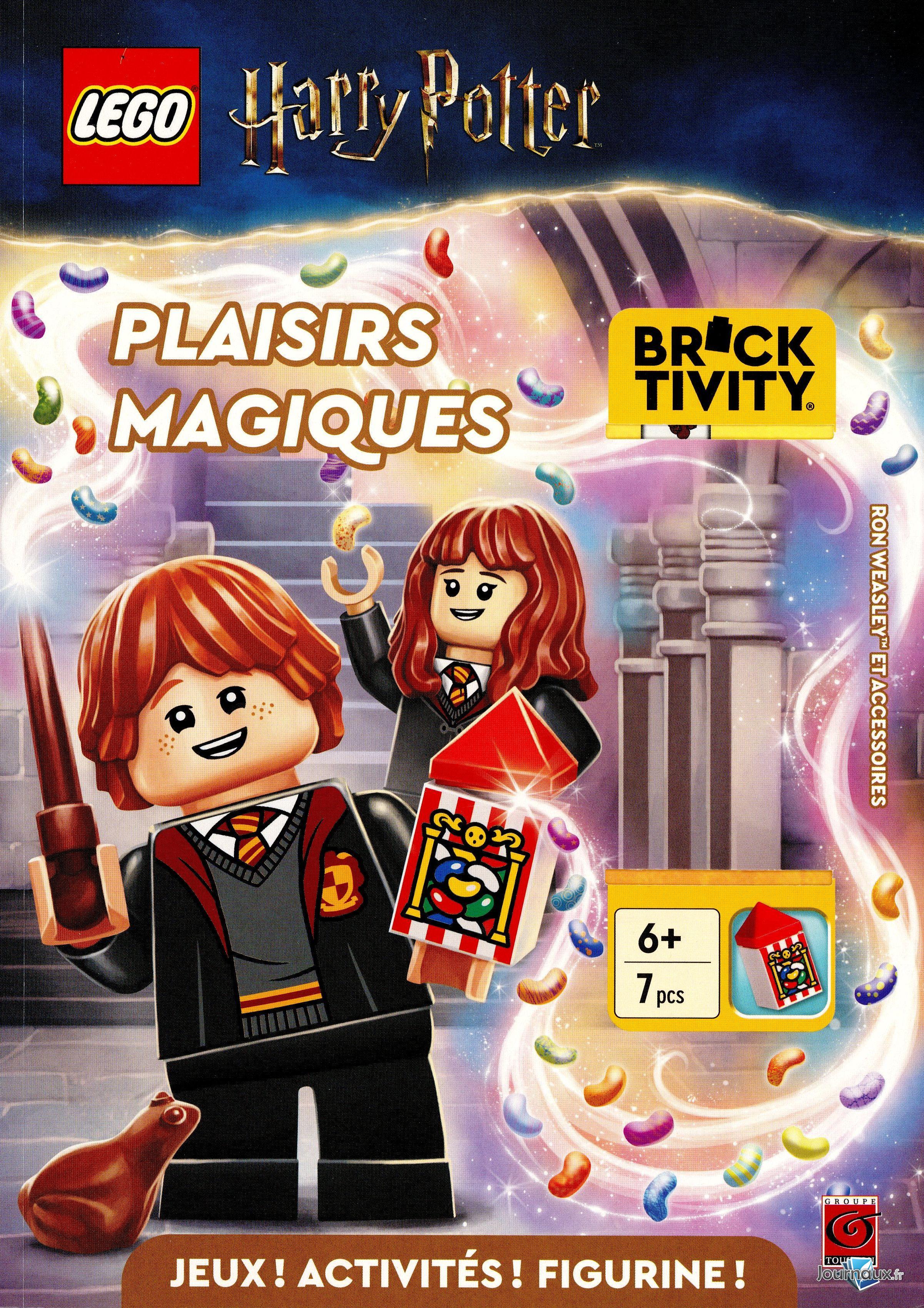 Boite Lego Max n° 13 2025-06-07