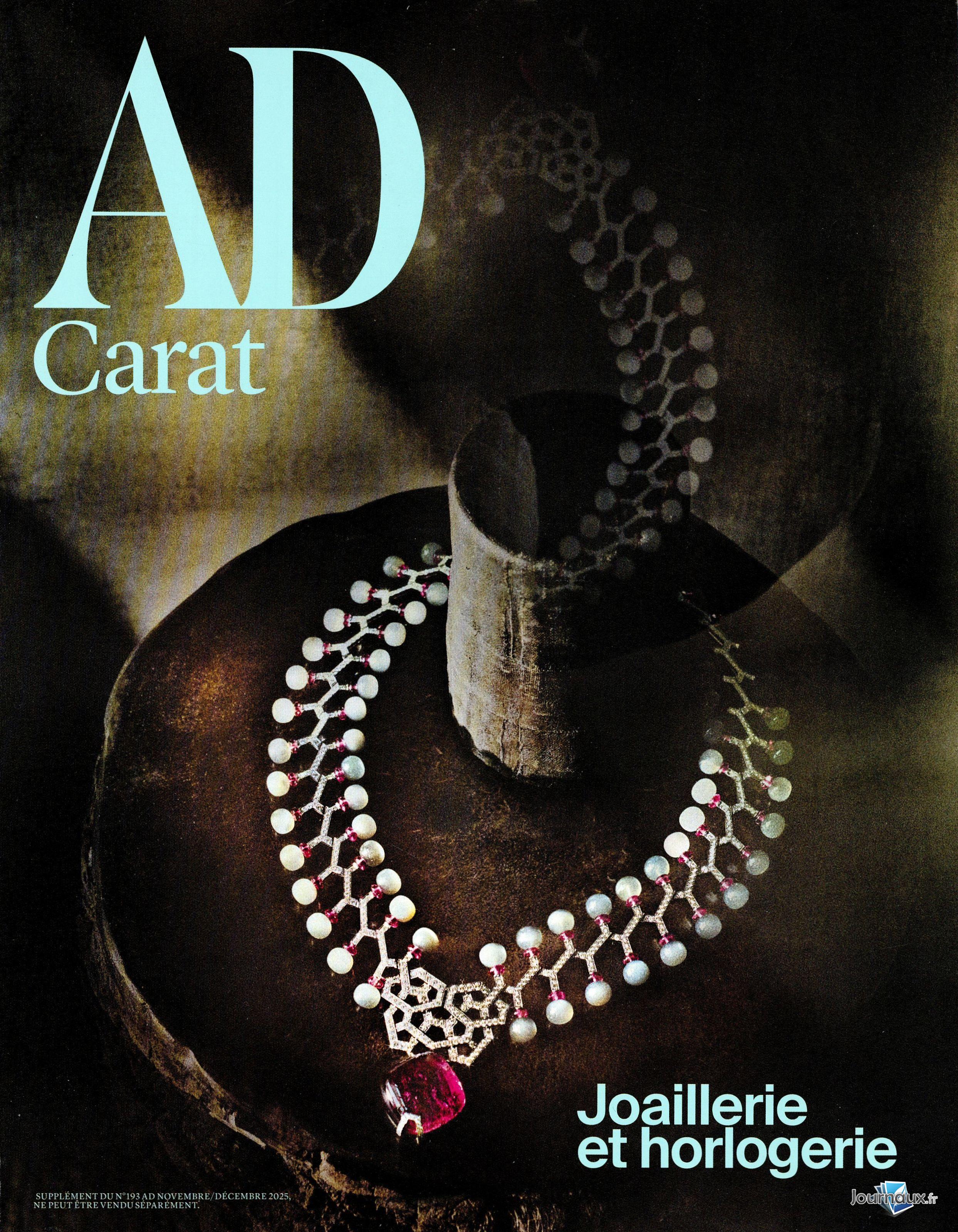 AD Architectural Digest n° 193 2025-10-29