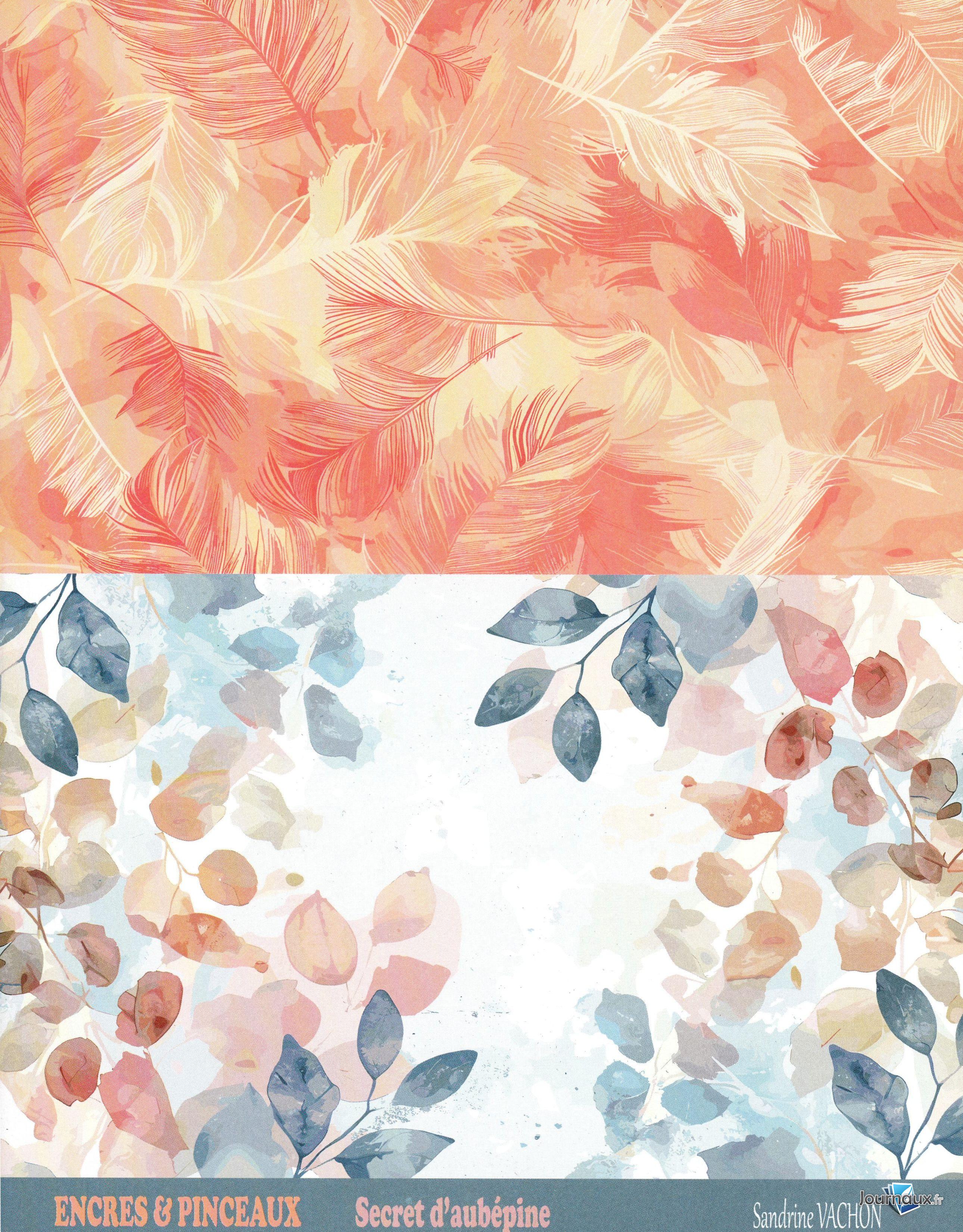 Passion Cartes Créatives Hors-série n° 4 2026-02-25