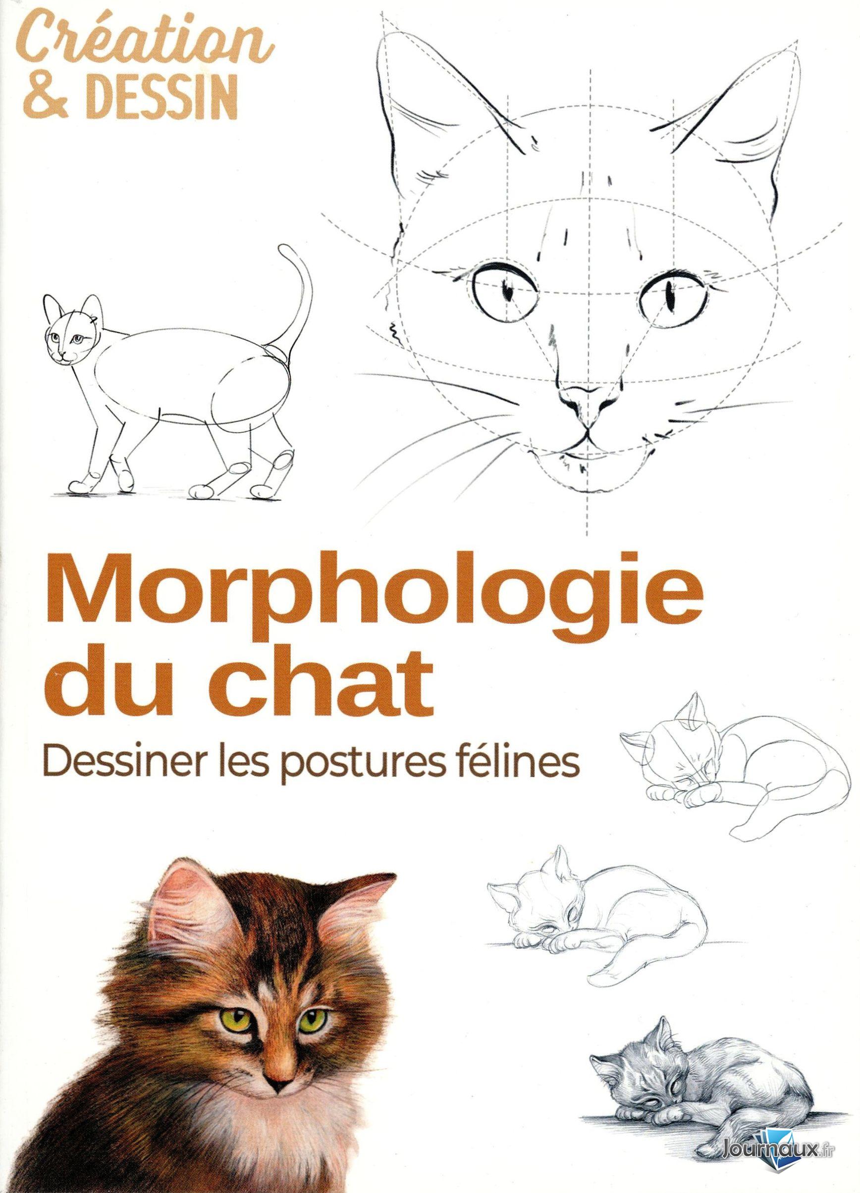 Le Dessin au Crayon n° 52 2025-06-13