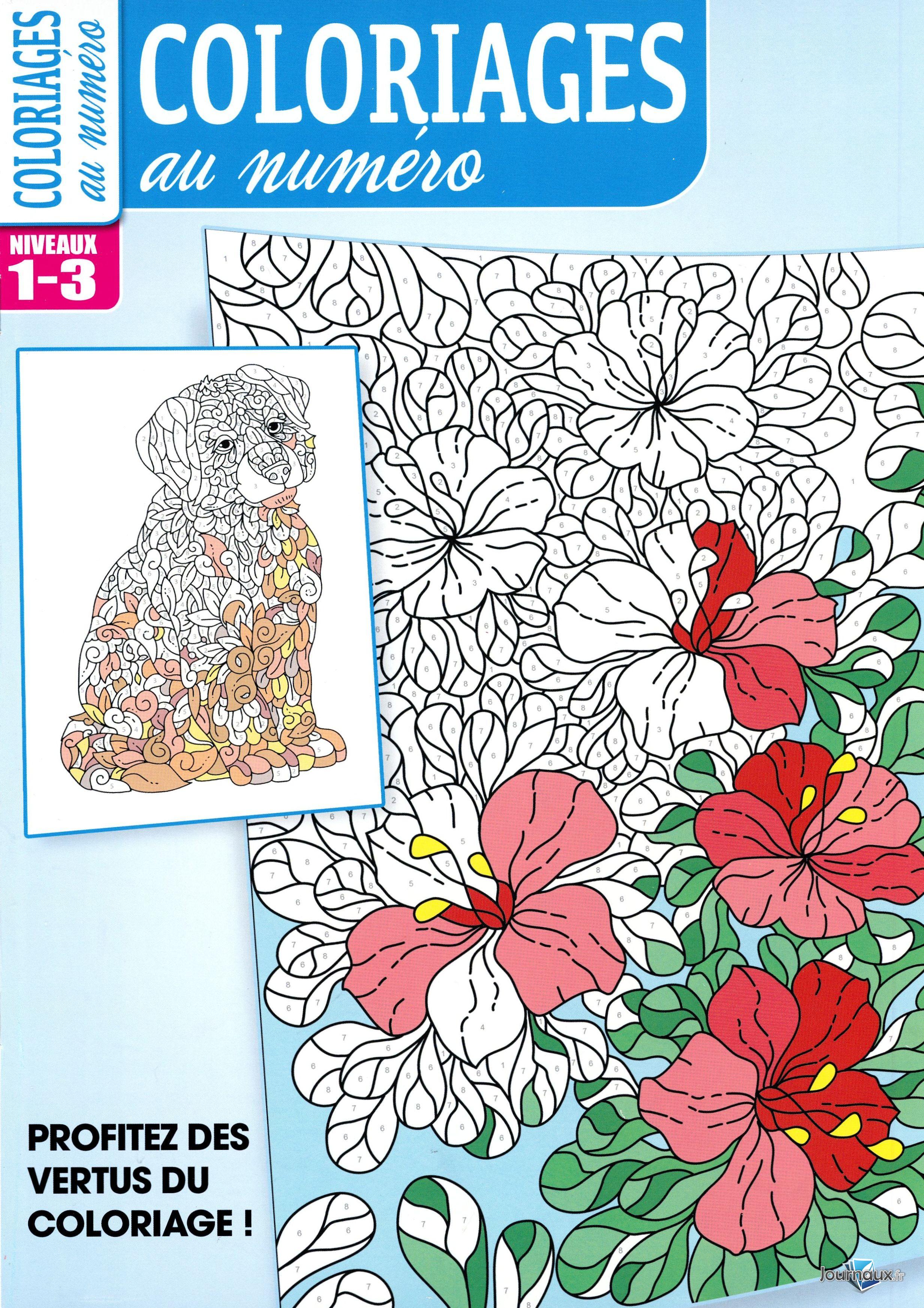 Coloriages au numéro n° 41 2025-12-09