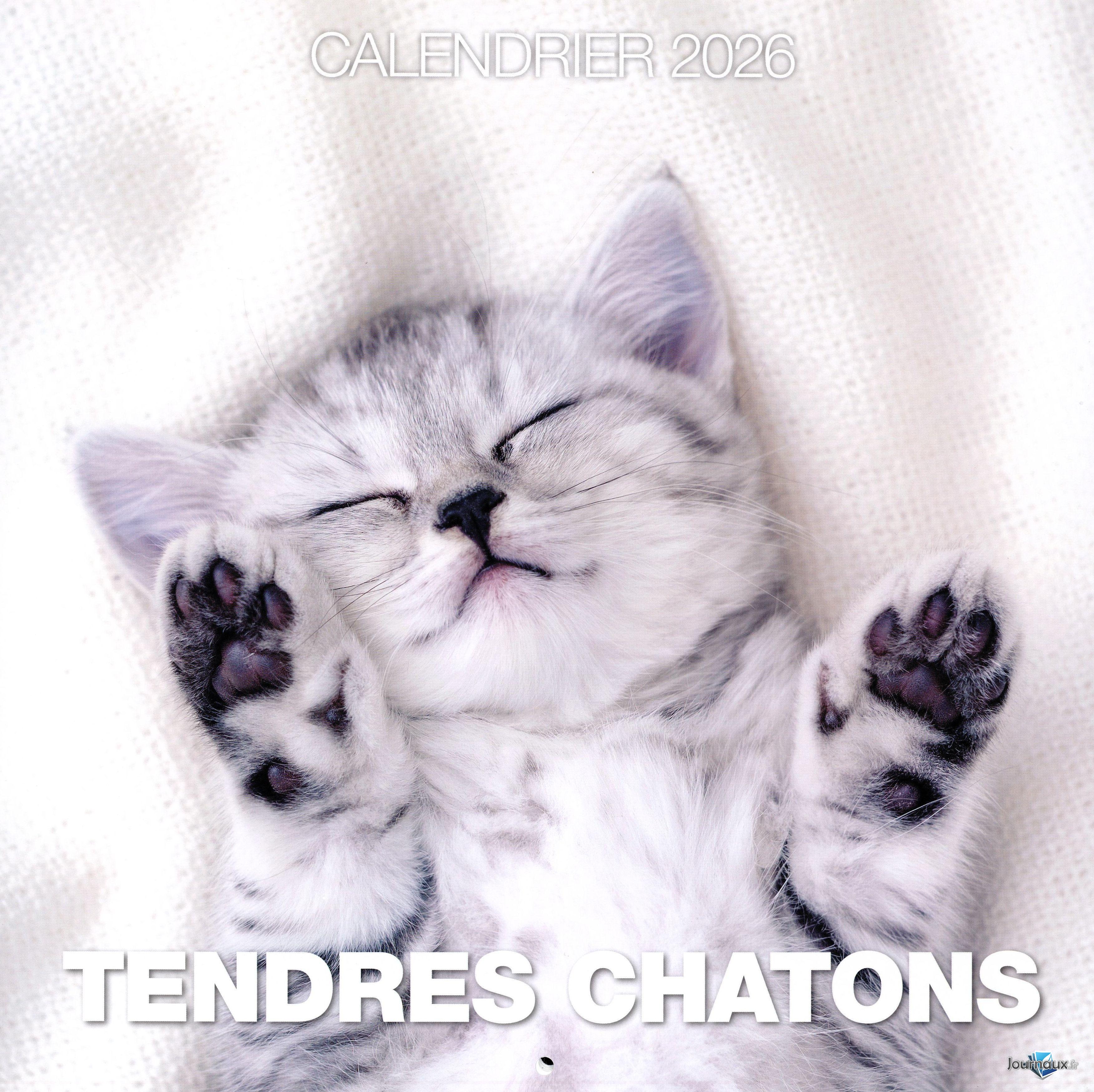 Calendrier 2025 Tendres Chatons  n° 3 2025-06-24