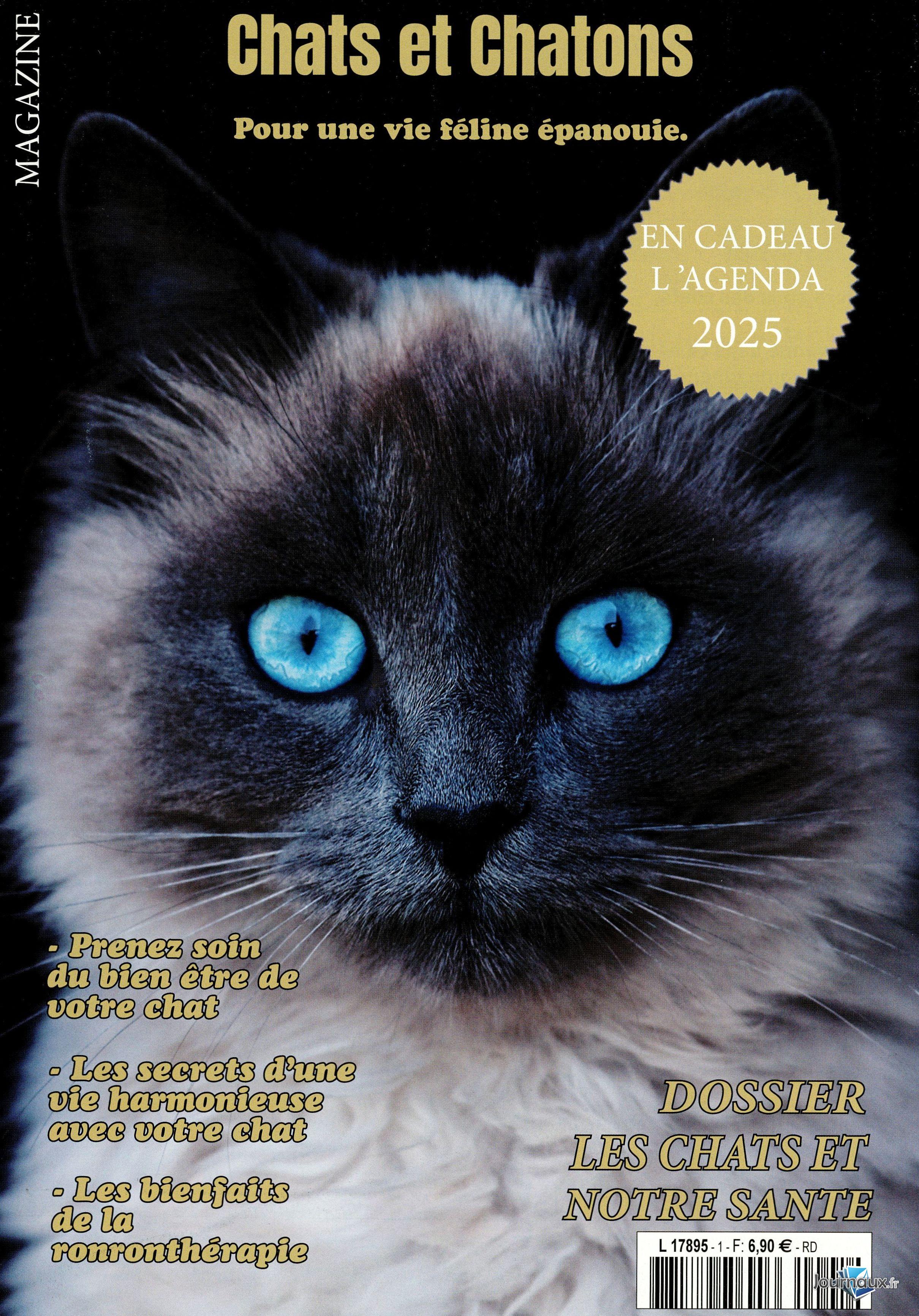 Chats et Chatons n° 1 2025-02-18