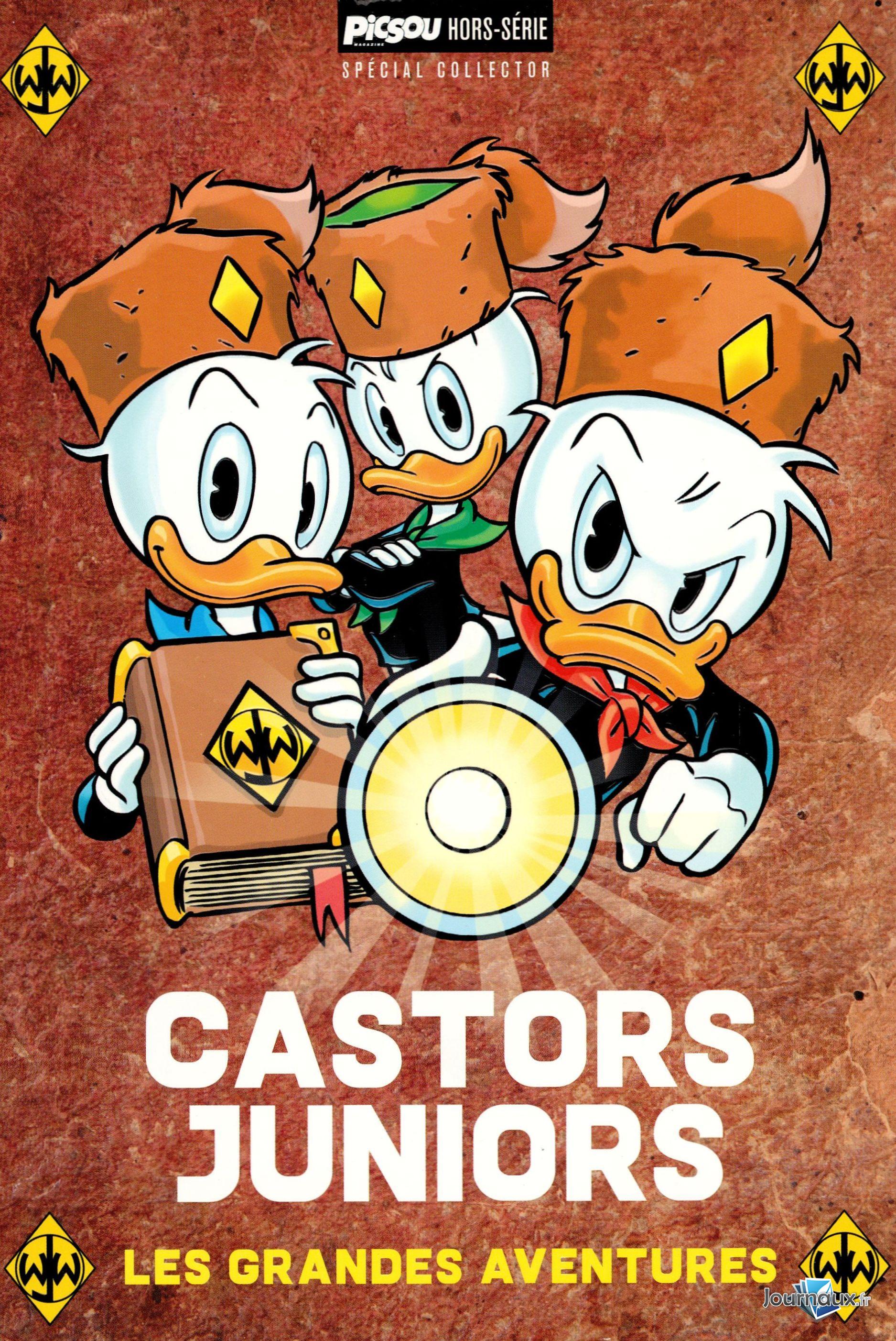 Offre Picsou Magazine Hors-Série Spécial Collector n° 1 2025-04-02