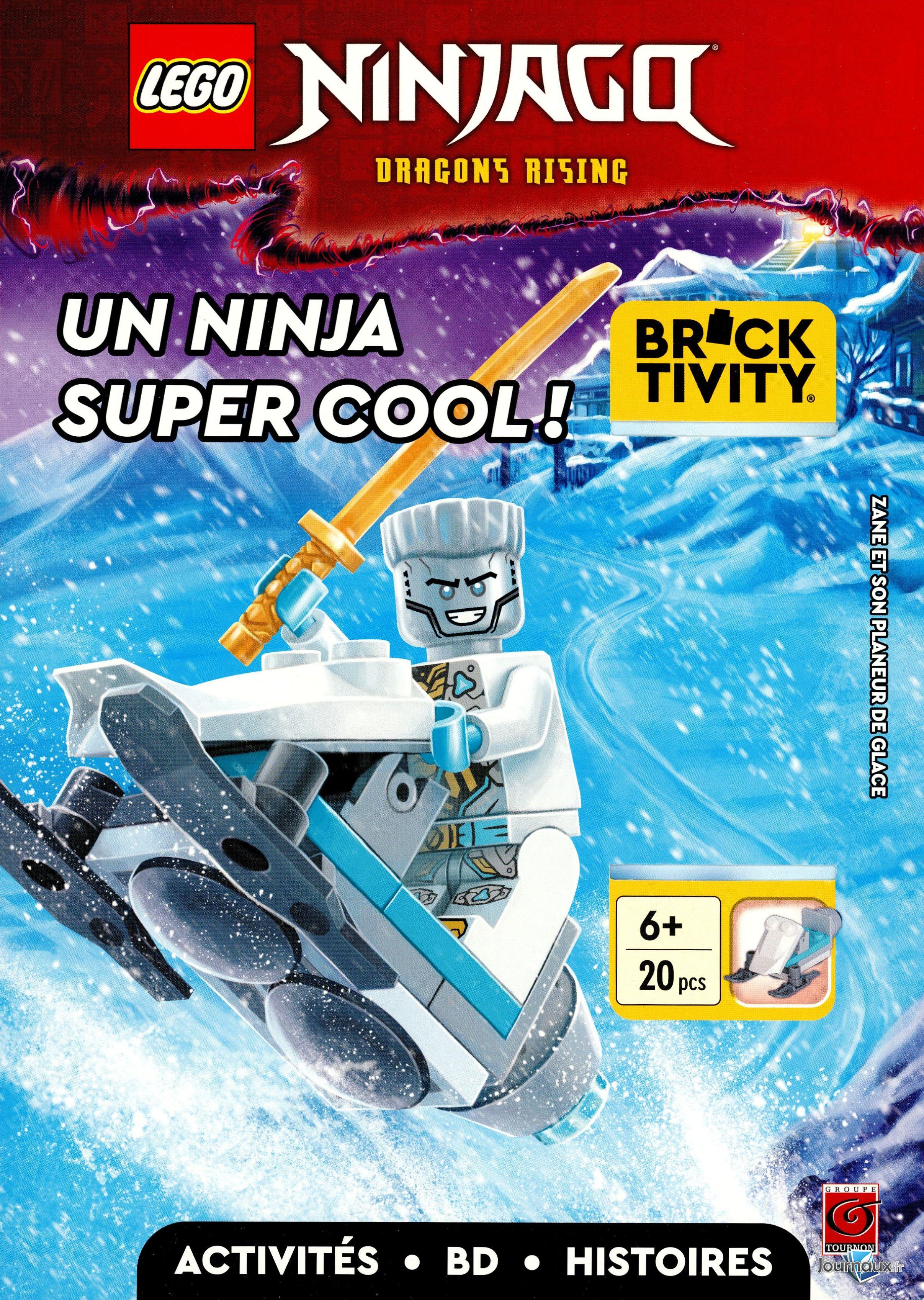 Lego - Niveau Supérieur n° 42 2025-02-04