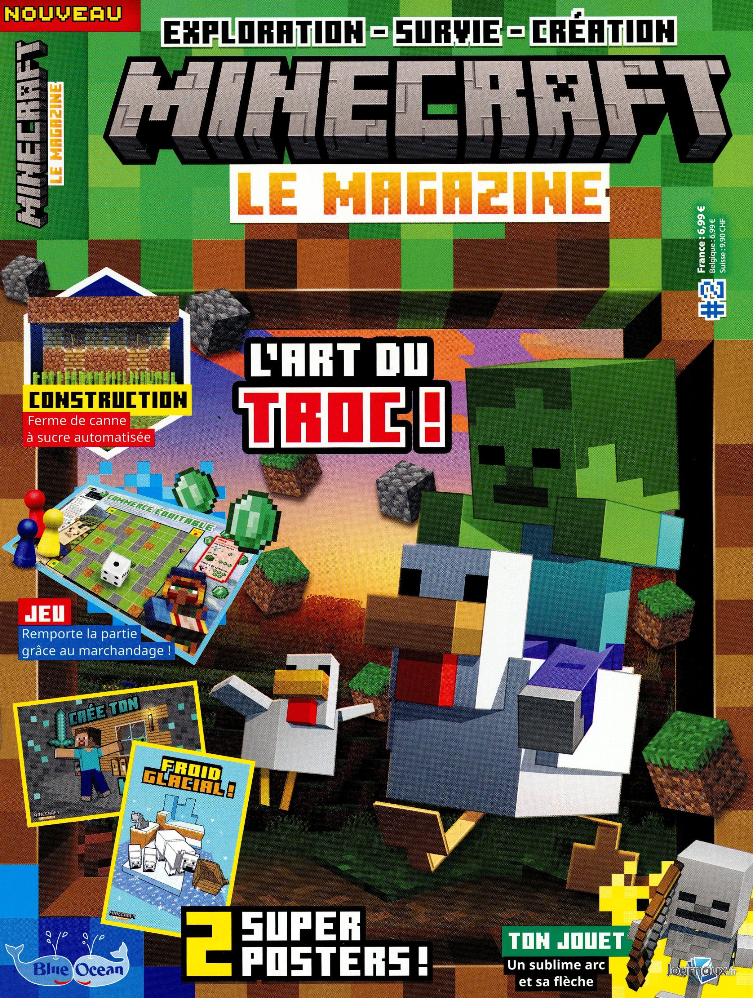 Minecraft n° 2 2025-01-18